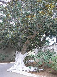 42 promenade de Letang 